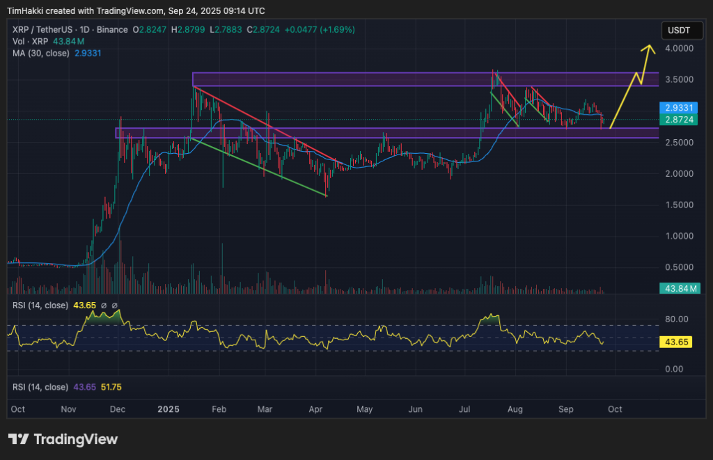 xrp fiyat grafiği