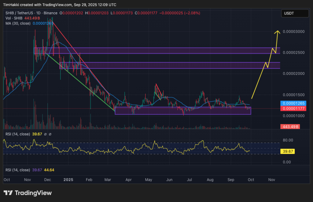 مخطط بياني لسعر الزوج SHIB/USDT
