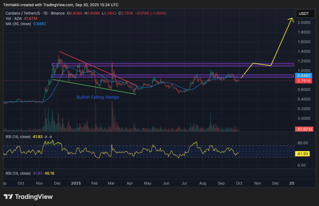 Cardano graphic graphic