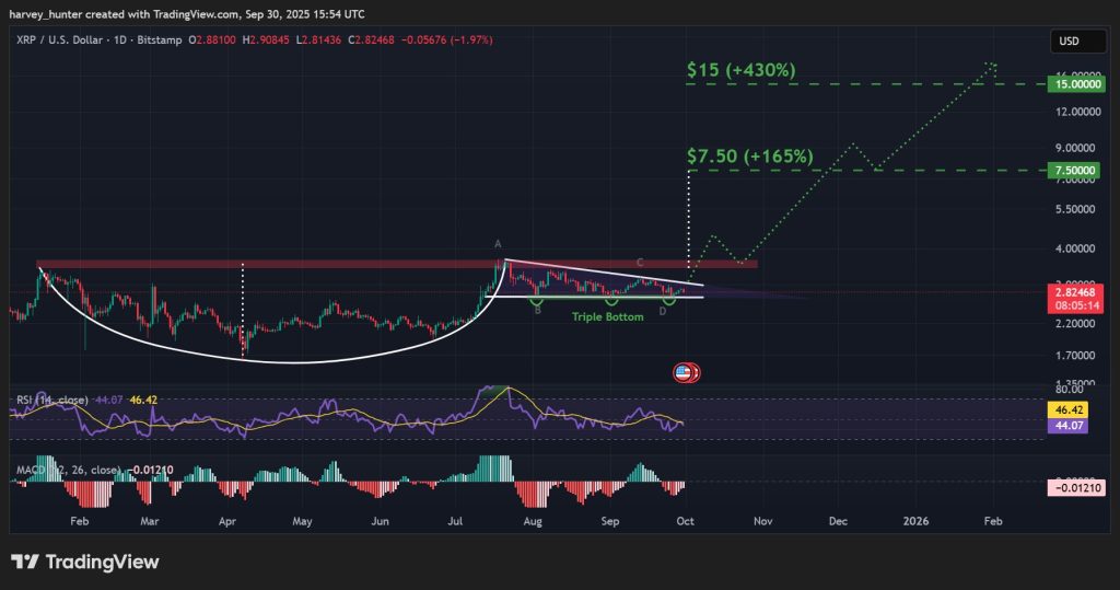 A graphic diagram shows the movements of the price of the ripple and its technical indicators