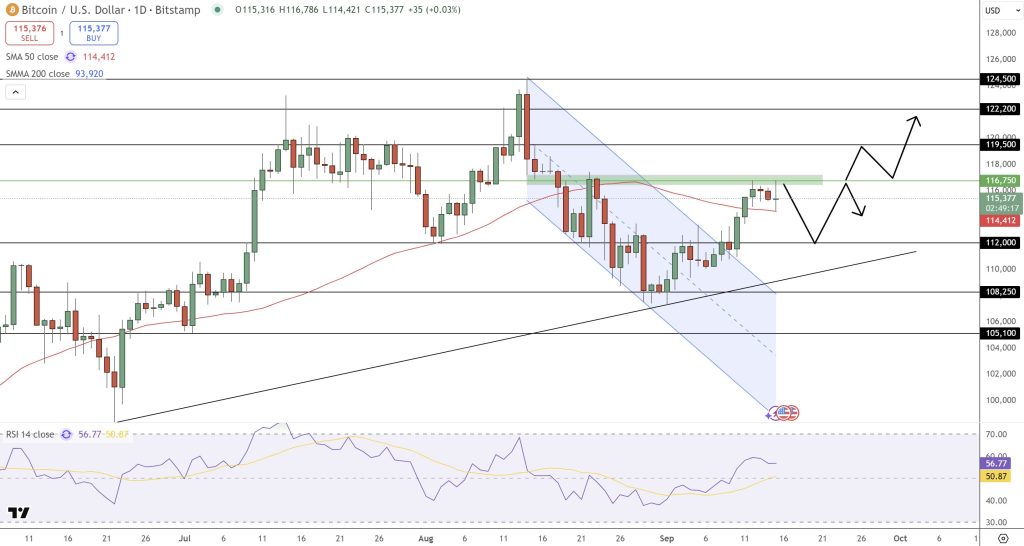 A Bitcoin currency price diagram displays the resistance area, the support line and potential price movements