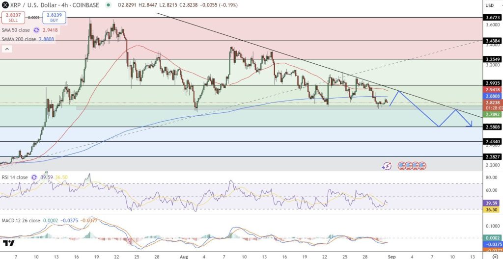 리플 XRP 차트