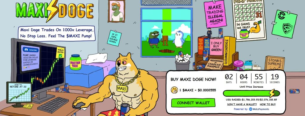 Maxi DOGE user interface
