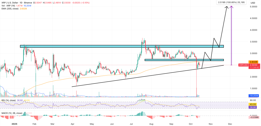 Xrp: лучший актив для покупки на падении