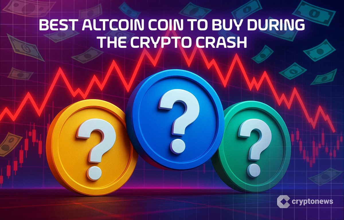 Best Altcoin Coin to Buy During the Crypto Crash – 24 November.