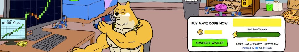 The Maxi Doge coin offering interface and the most important data related to it