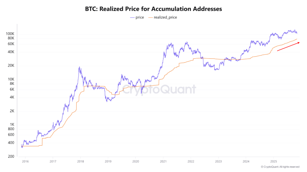 Long-Term Bitcoin Whales Transfer Coins at 4-Month High — Here's Why Analysts Think It's Bullish