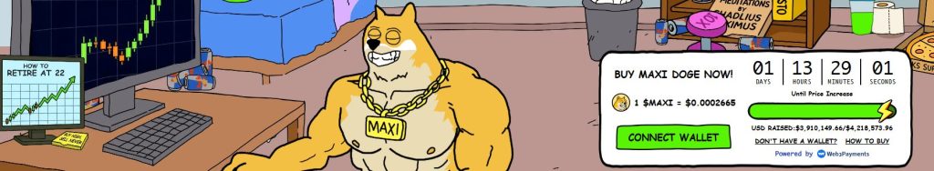 The Maxi Doge coin offering interface and the most important data related to it