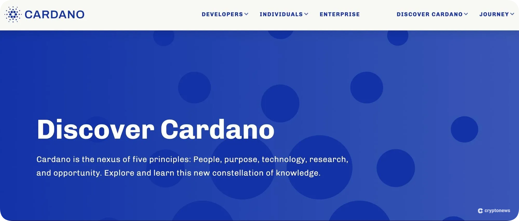 cardano network