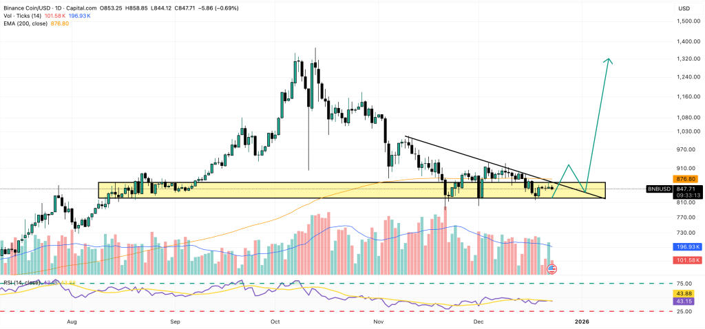 bnb price chart
