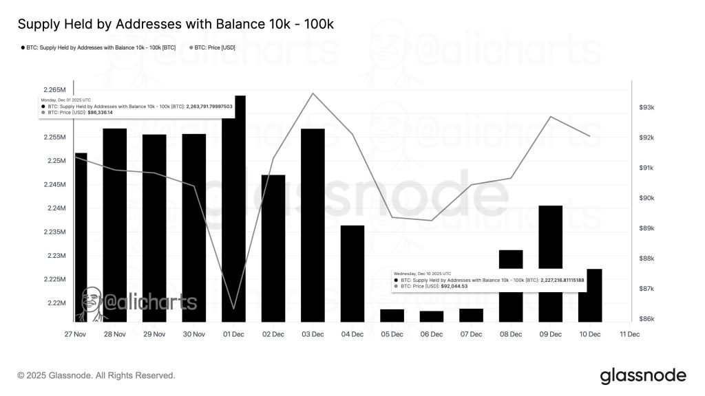 The bar chart shows the size of the alule whale's bitcoin
