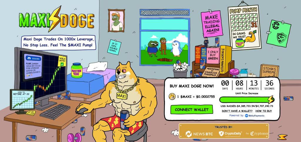 Maxidoge Banner