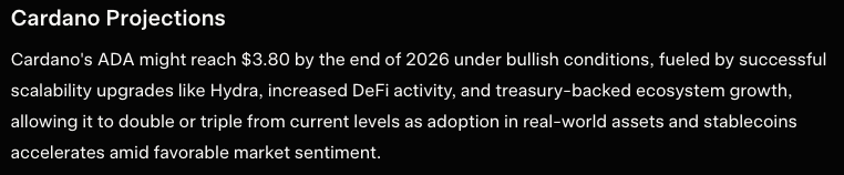 그록 에이다 2026년 전망