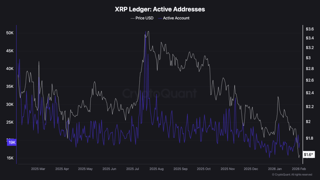 xrp 레저 지갑 수