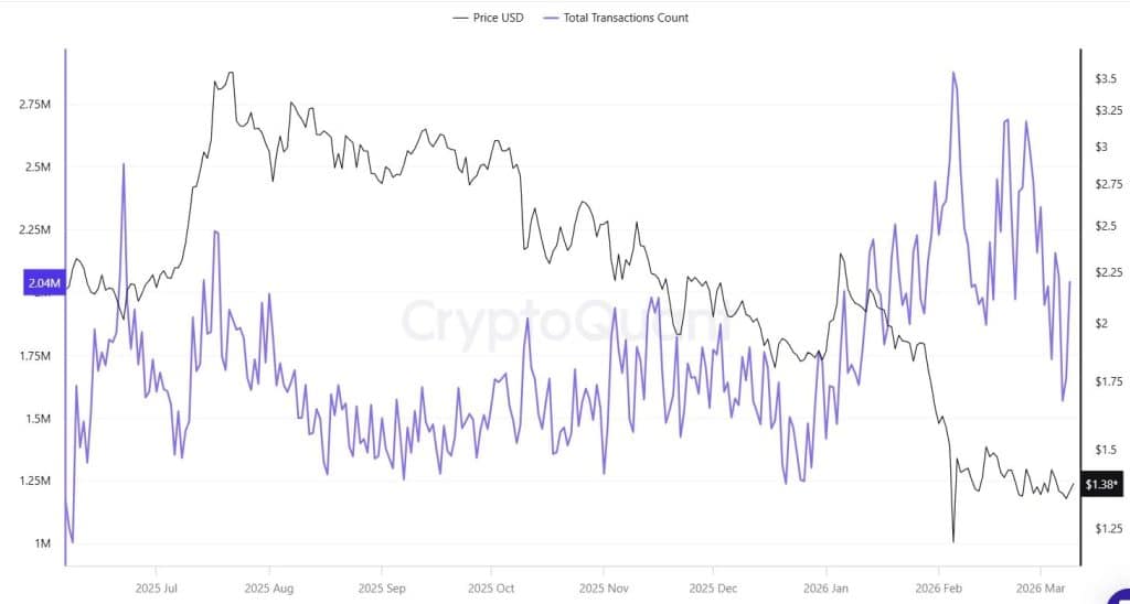 xrp 레저 일일 거래 건수