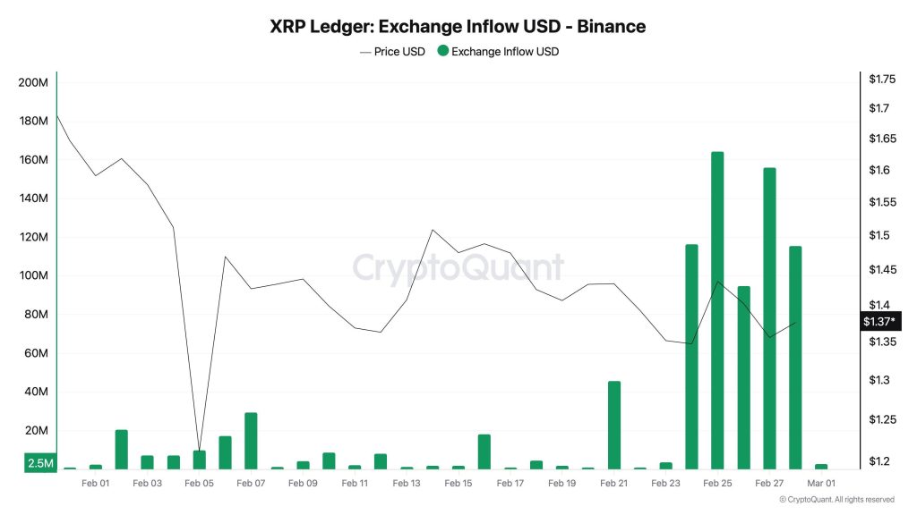 XRP 바이낸스 유입