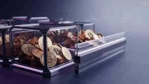 Mid-Sized Bitcoin Wallets Add 113,950 Bitcoin as Price Rally Nears Test