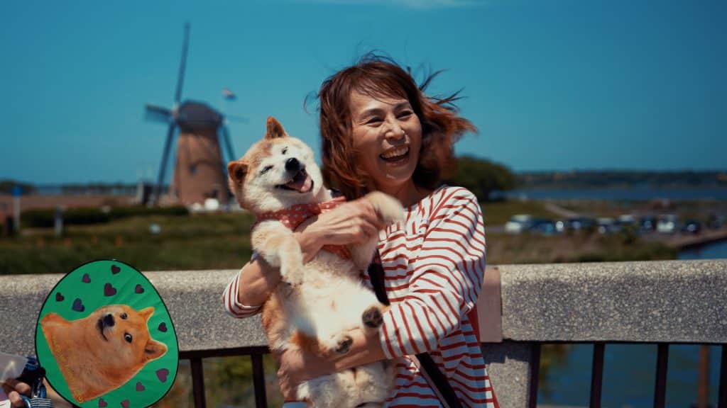 狗狗币十周年涨势力压比特币 87％持有者处于盈利状态
