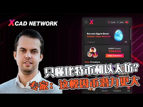 只懂比特币和以太坊？ 这2种模因币潜力更大！