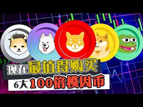 现在最值得购买的  6个100倍模因币