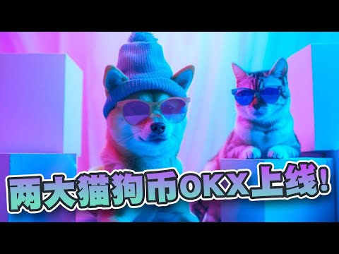 WIF及MEW两大猫狗迷因币OKX上线！下一个目前将是这个！