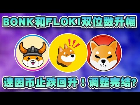 迷因币近期止跌回升！ BONK、DogwithHat和FLOKI有双位数升幅！