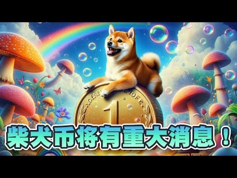 柴犬币將有重大消息？鲸鱼1分钟内掃8750亿柴犬币