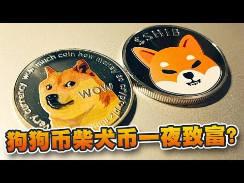 迷因币是什么？狗狗币柴犬币怎样一夜致富？怎么买才可减低风险？
