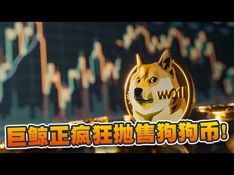 狗狗币曾跌破0.10美元！巨鲸急于抛售代币！24小时交易量上升至16亿美元