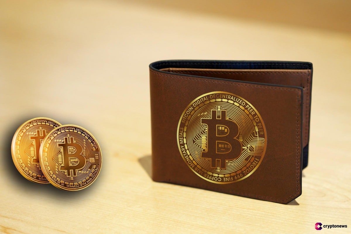 ¿Cómo almacenar Bitcoin?