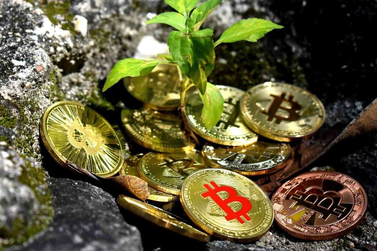 riptomonedas ecológicas