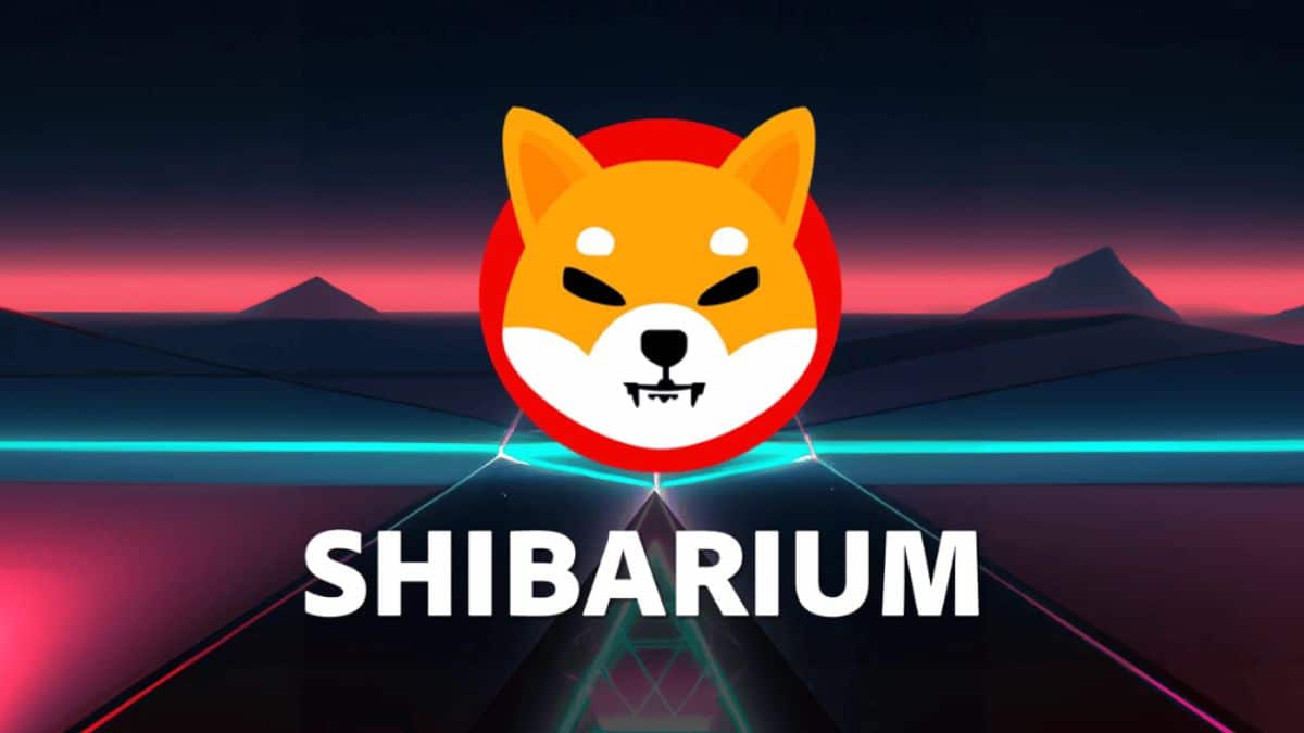 Precio de SHIB se va a 0 d&oacute;lares, pero estas nuevas criptomonedas tienen mayor potencial de crecimiento