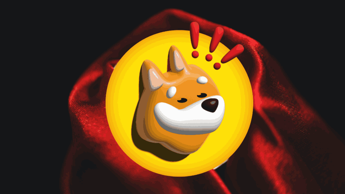 precio de bonk