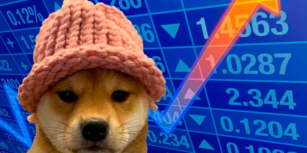 dog wif hat