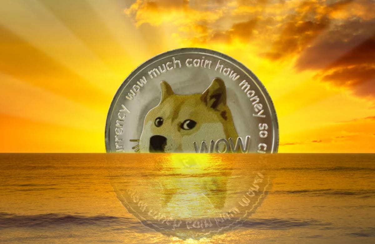dia de doge