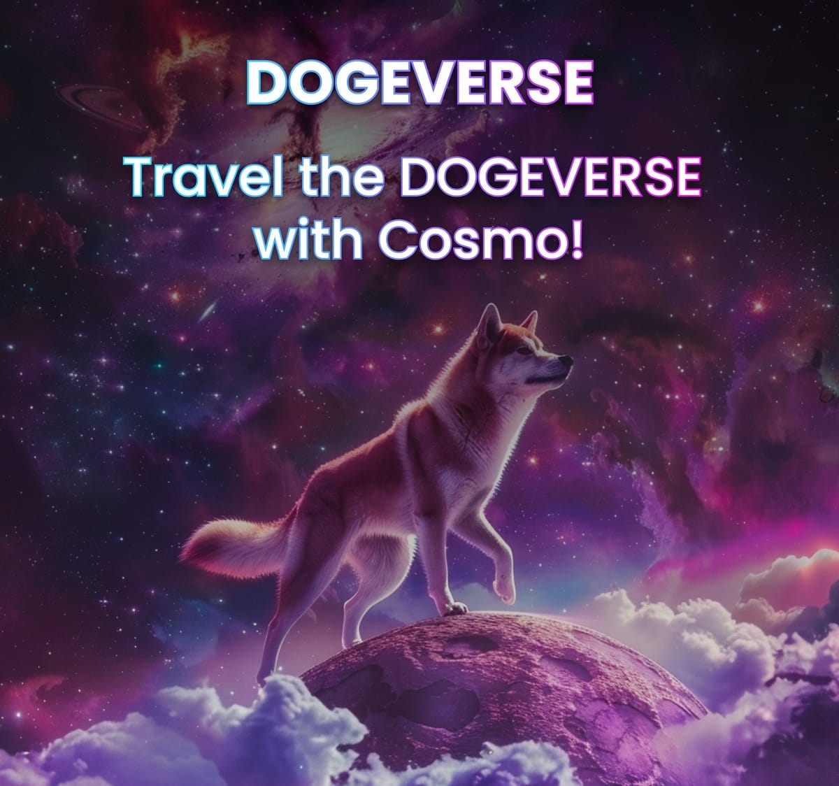 Dogeverse multichain