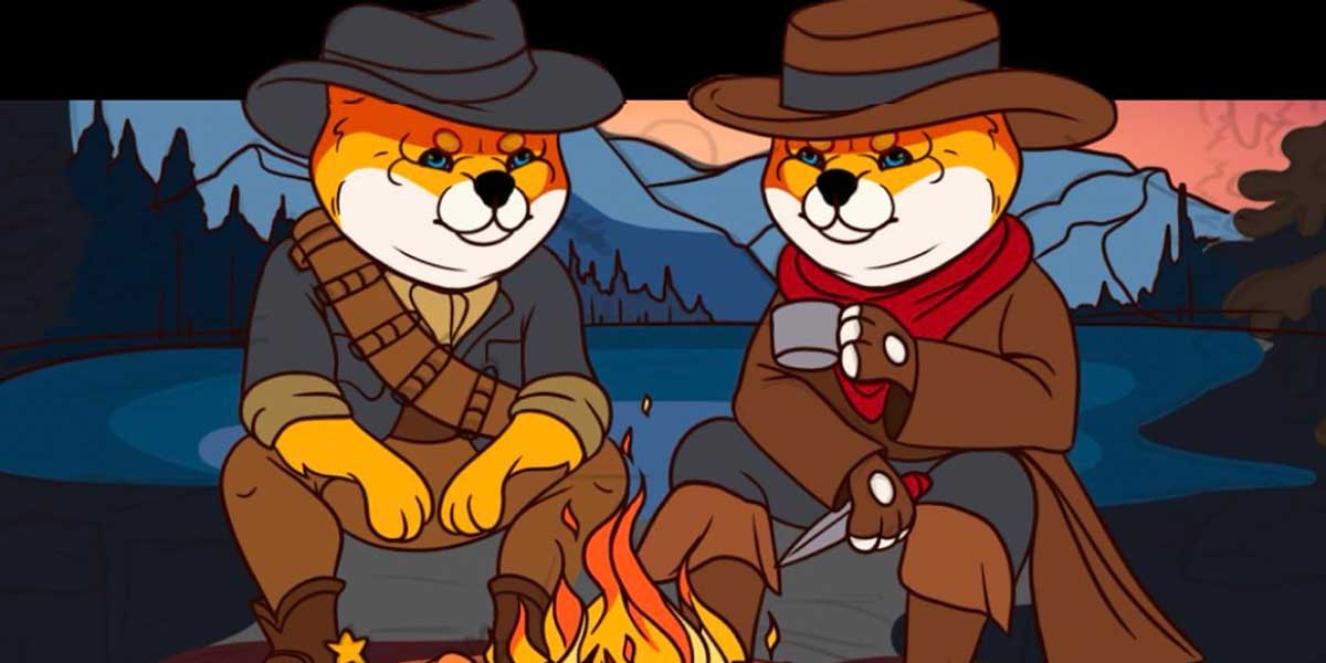 shiba shootout