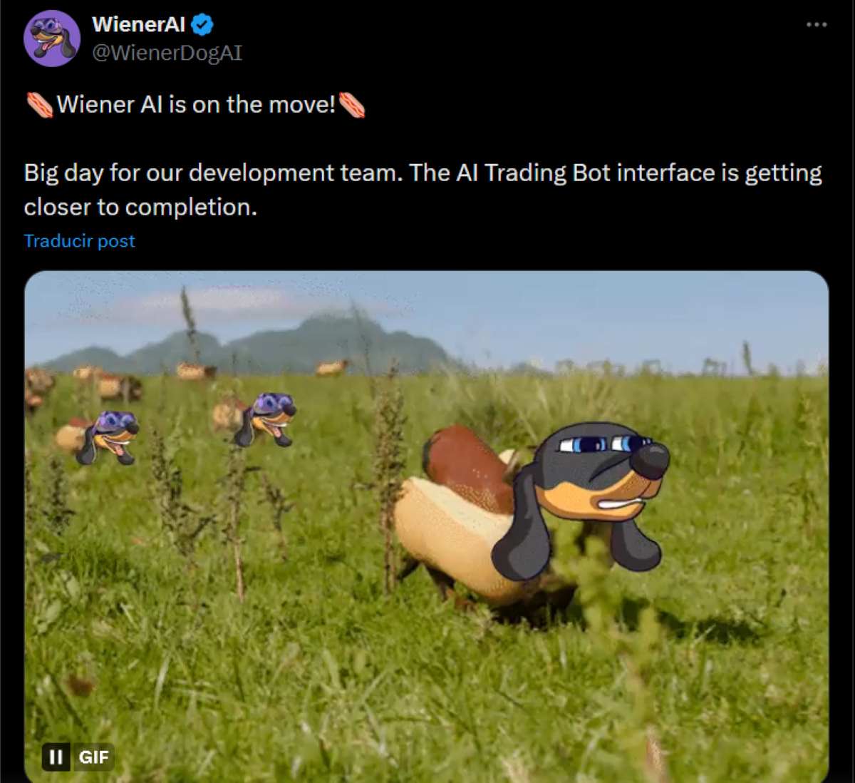 WienerAI