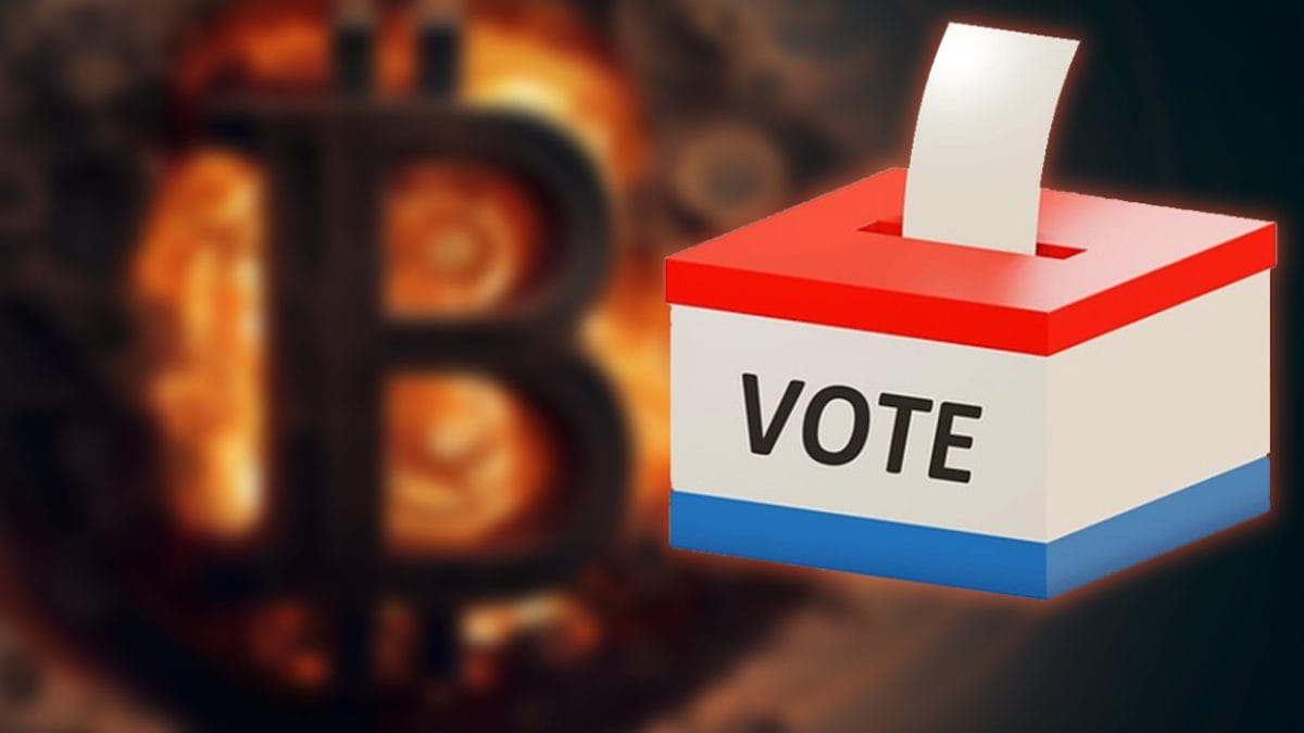elecciones ripple