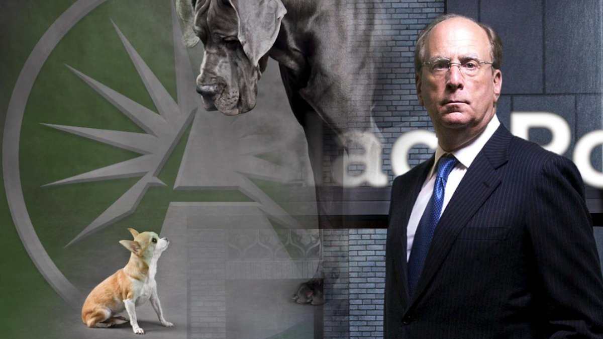 fidelity vs blackrock