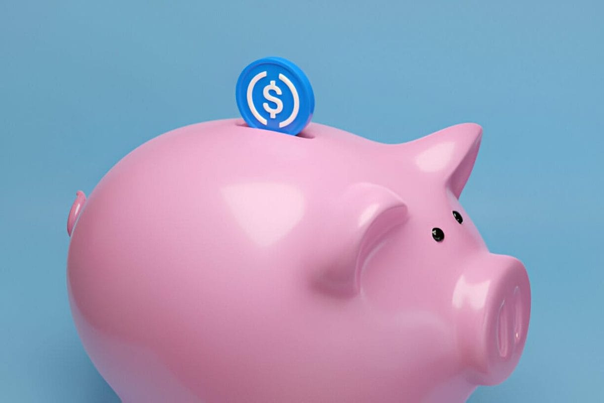 La SEC destaca los riesgos de la oferta inicial pública de USDC - ¿Podría arruinar la salida a Bolsa de Circle?