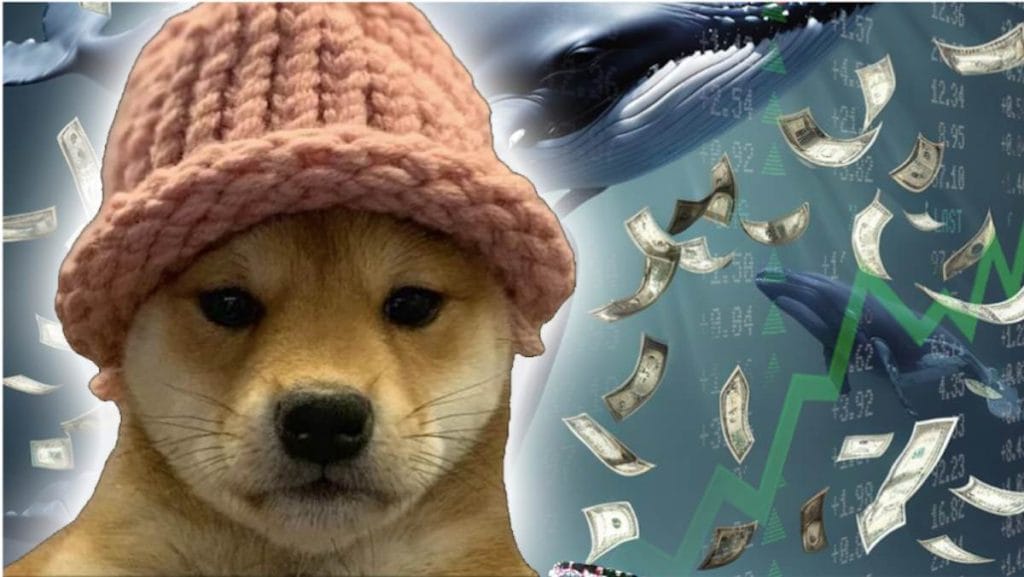 Doge 2014