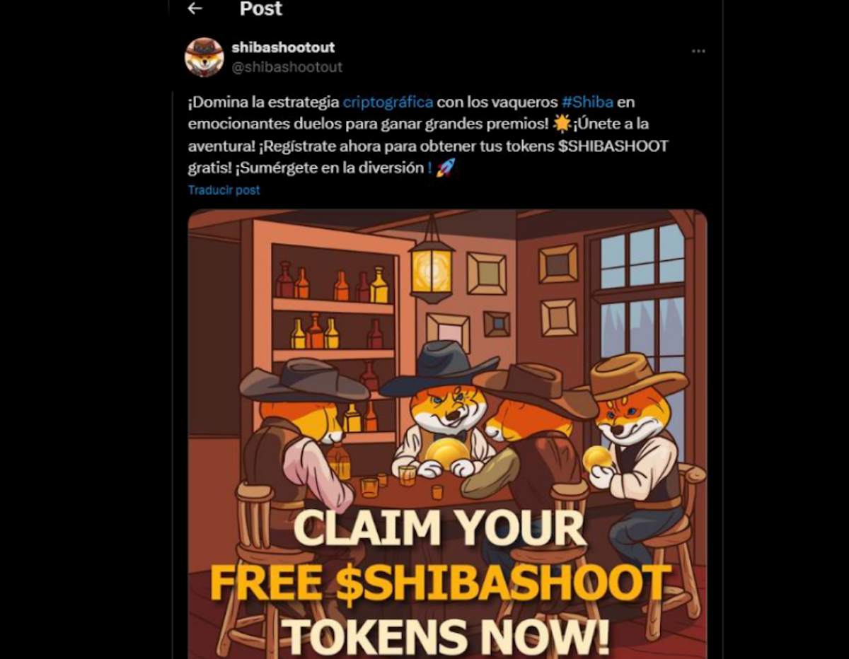 competidor shiba shootout