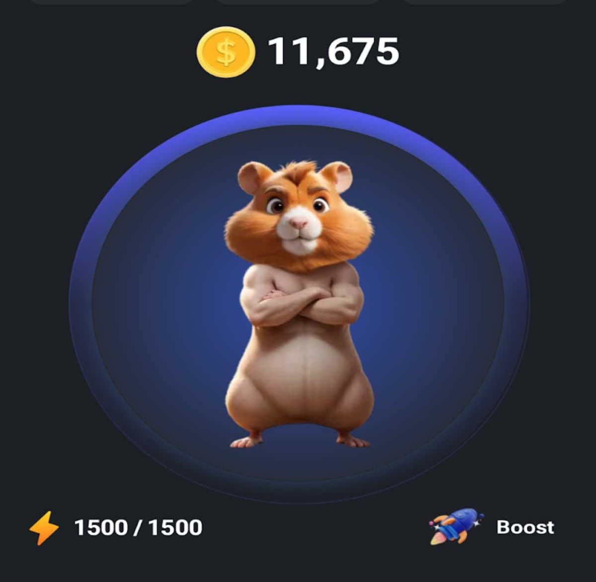 hamster kombat