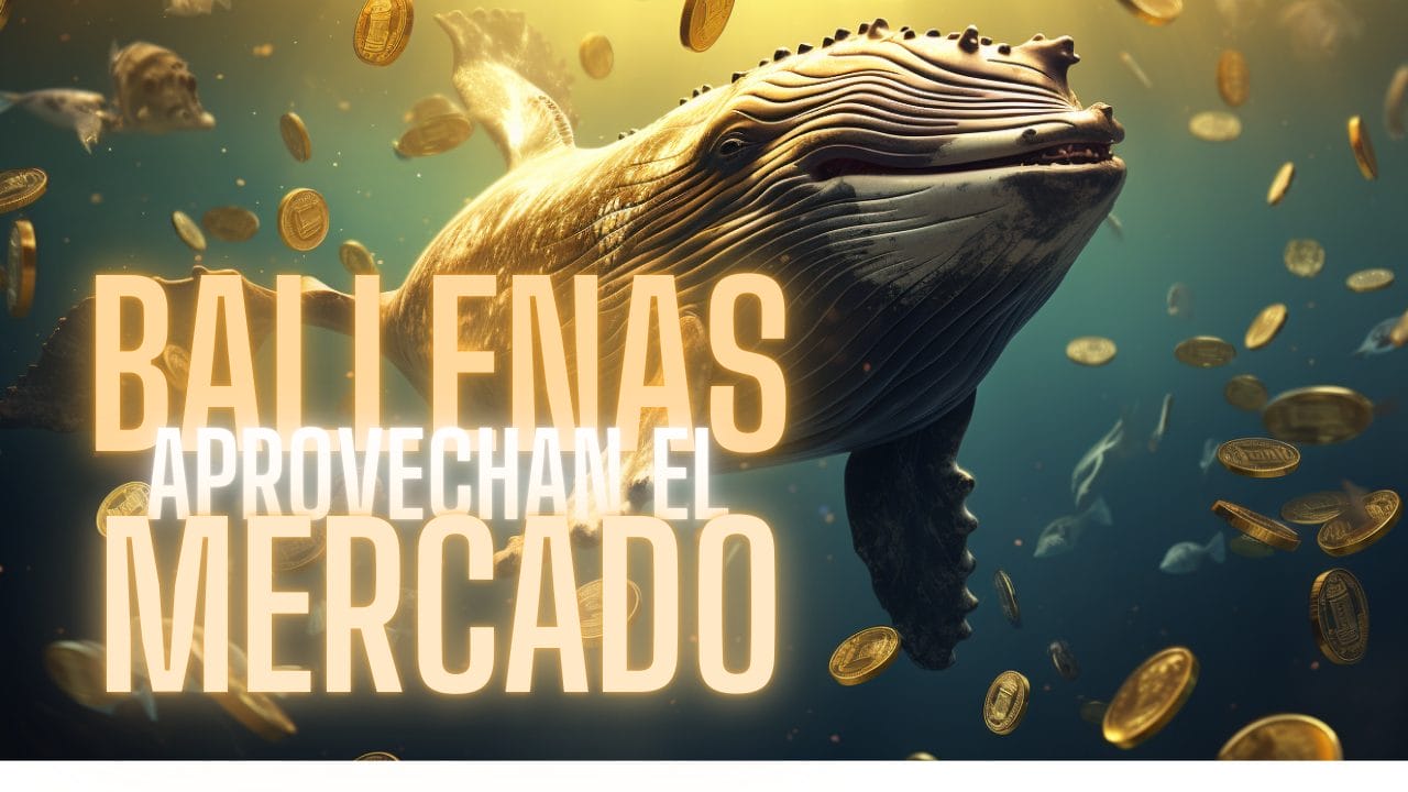 Vídeo Noticias Bitcoin: BALLENAS aprovechan la CAÍDA del Mercado – MT. GOX entregará otros 46000 BITCOIN