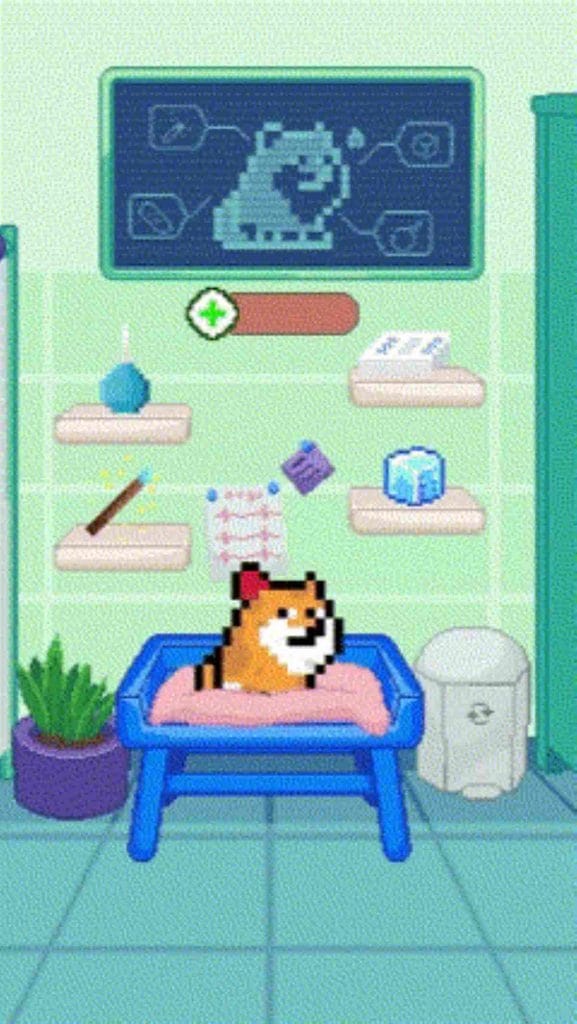 PlayDoge