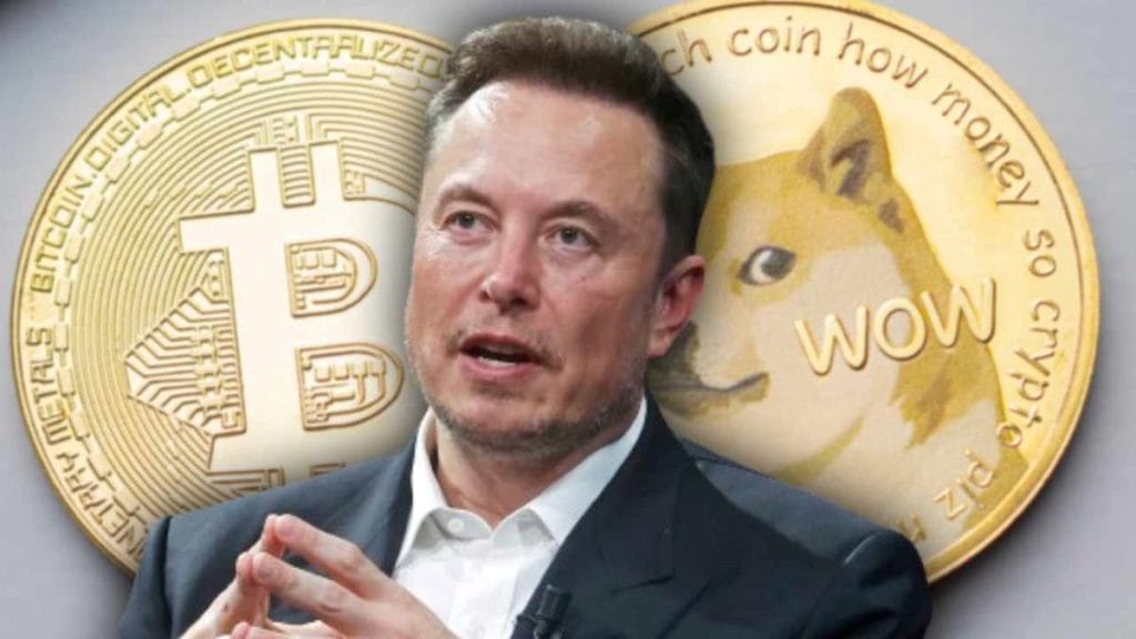 rally de criptomonedas