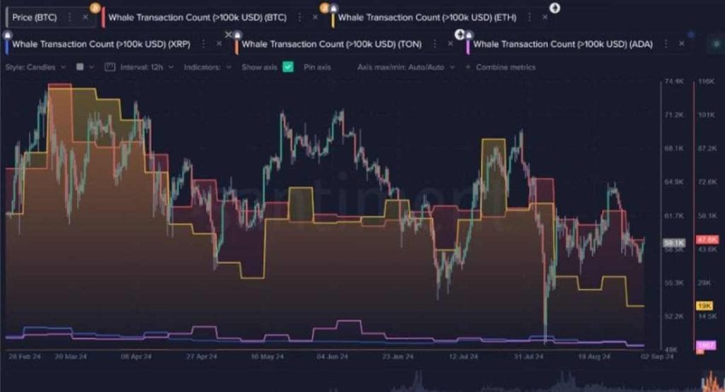 impacto ballenas crypto