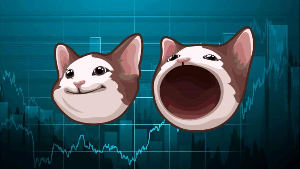 cotización Popcat