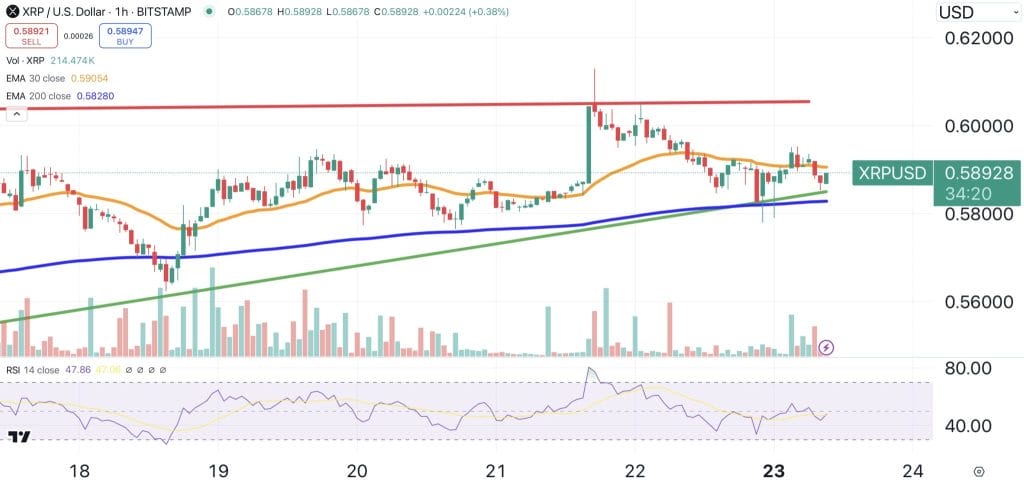Gr&aacute;fico del precio de XRP - Fuente TradingView